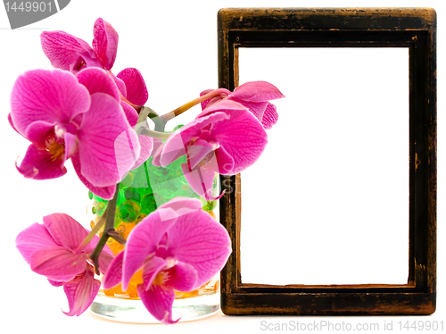 Image of pink orchid and vooden frame