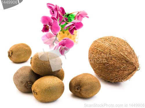 Image of coconut and kiwi against pink orchid flower