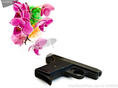 Image of pink orchid and gun