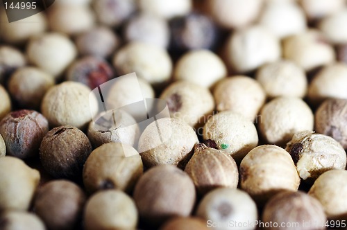 Image of Macro background