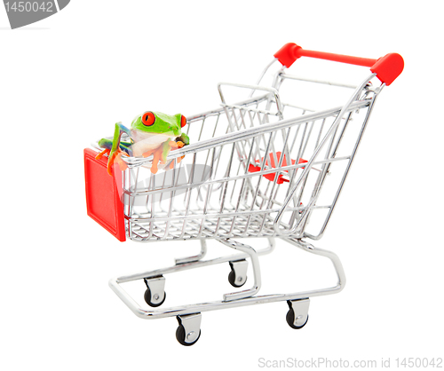 Image of Pet Store Shopping Cart