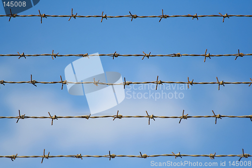 Image of barbed wires