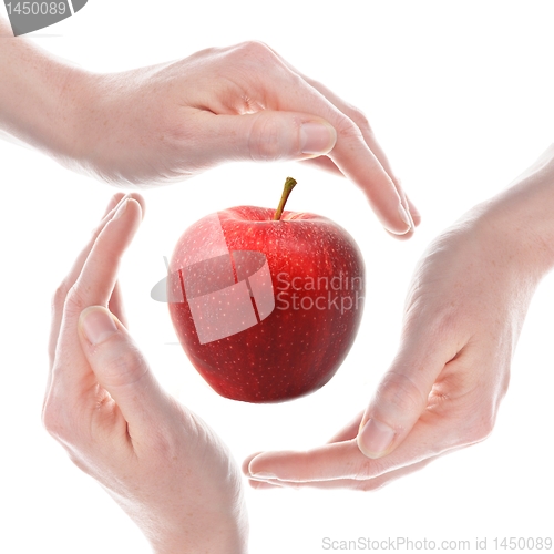 Image of apple