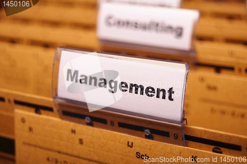 Image of management