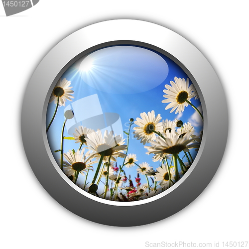 Image of flower