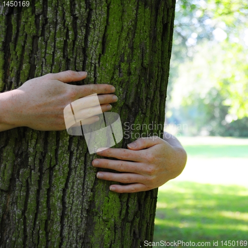 Image of ecology