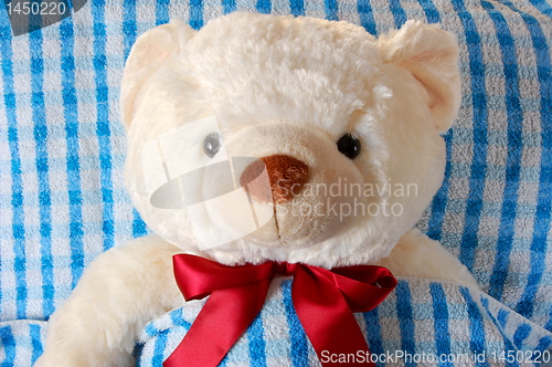 Image of sick teddy bear