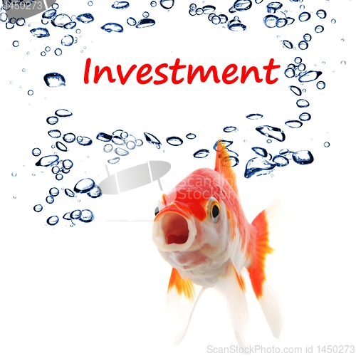 Image of investment