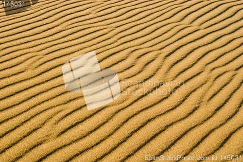 Image of dune pattern