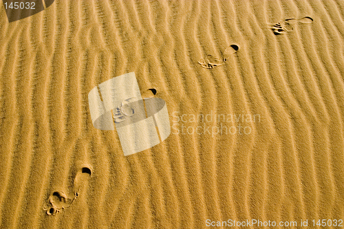 Image of footprints on dune