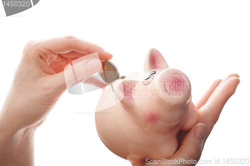 Image of piggy bank