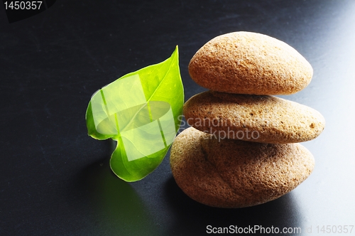 Image of zen still life