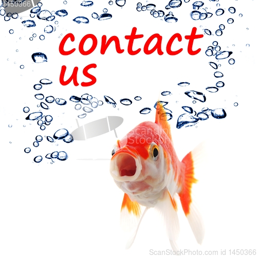 Image of contact us