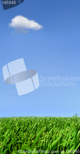 Image of Background of sky and grass