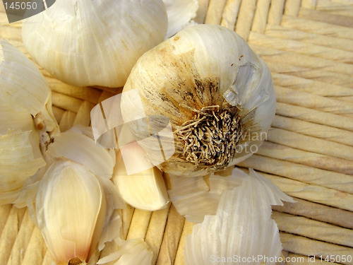 Image of Garlic