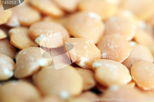 Image of Macro background