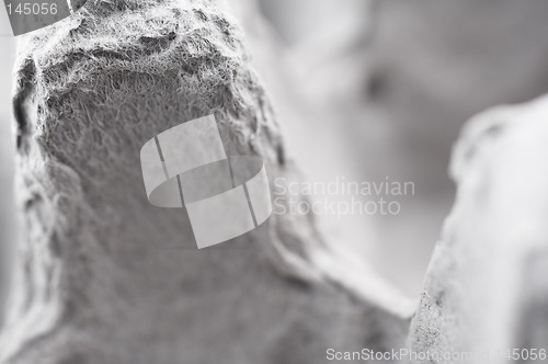 Image of Macro background