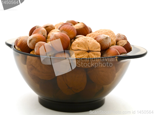 Image of Hazelnuts and walnuts