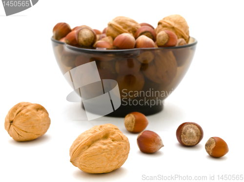 Image of Hazelnuts and walnuts