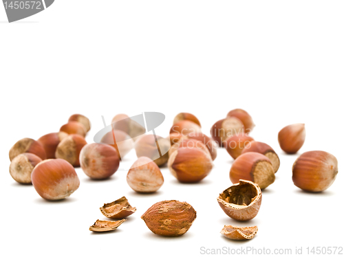 Image of Hazelnuts