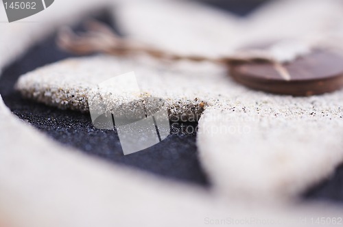 Image of Macro background