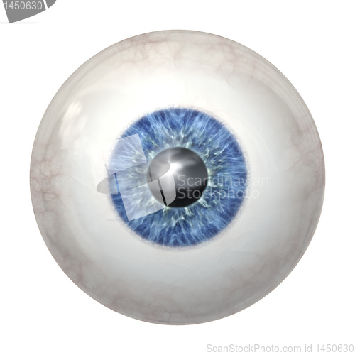 Image of eye ball blue