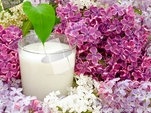 Image of milk and lilac