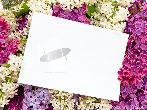 Image of lilac background with invitation