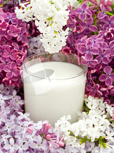 Image of milk and lilac