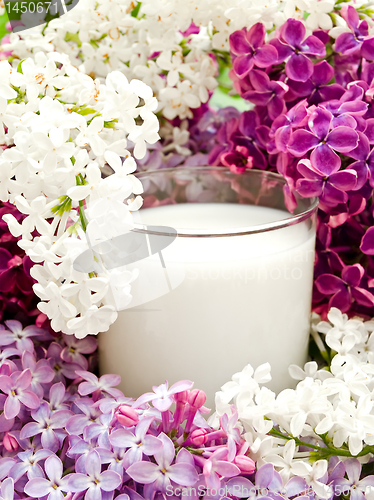 Image of lilac flower and milk