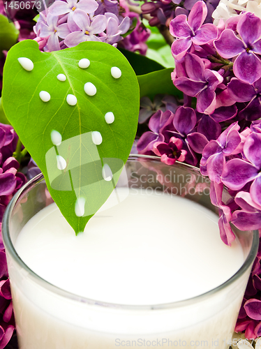 Image of lilac flower and milk