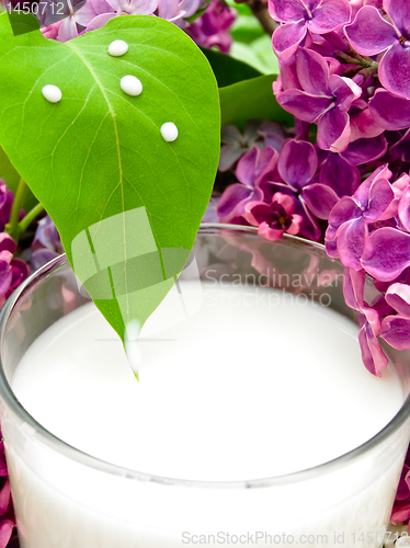 Image of milk and lilac