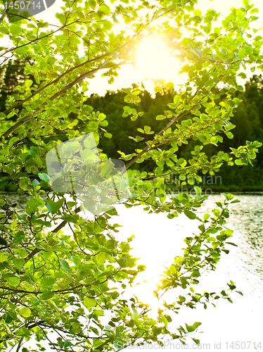 Image of sun 