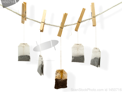 Image of drying tea bags