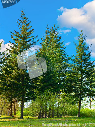 Image of spring landscape