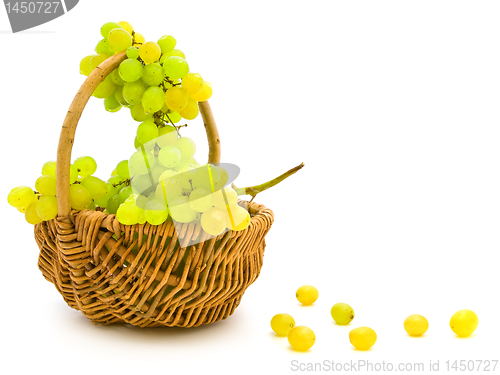 Image of grape in basket