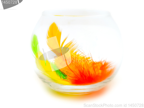 Image of feathers in the glass