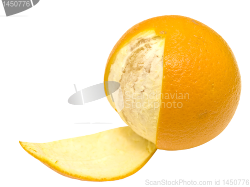 Image of orange