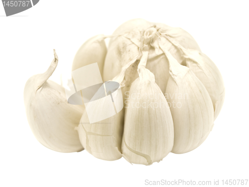 Image of garlic