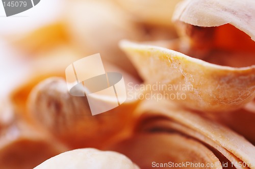 Image of Macro background