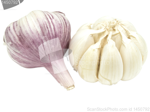 Image of garlic