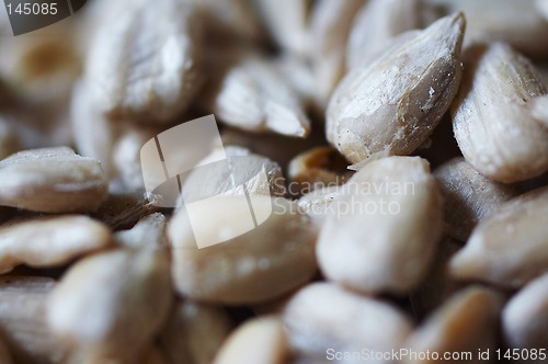 Image of Macro background