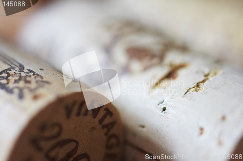 Image of Macro background