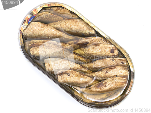 Image of sprat