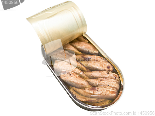Image of sprat