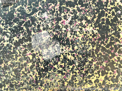 Image of  book cover