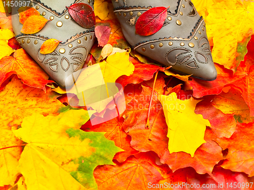 Image of autumn leaves and shoes