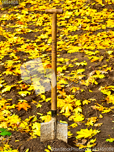 Image of shovel in ground