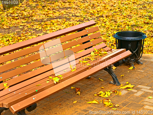 Image of Autumn bench