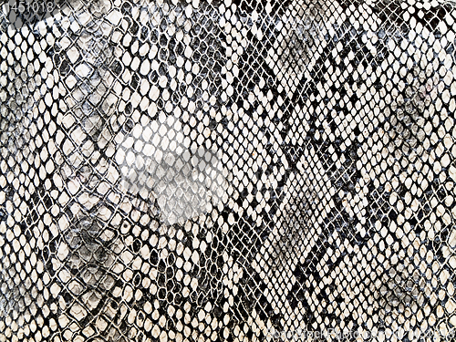 Image of snake pattern